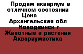 Продам аквариум в отличном состоянии › Цена ­ 1 700 - Архангельская обл., Новодвинск г. Животные и растения » Аквариумистика   